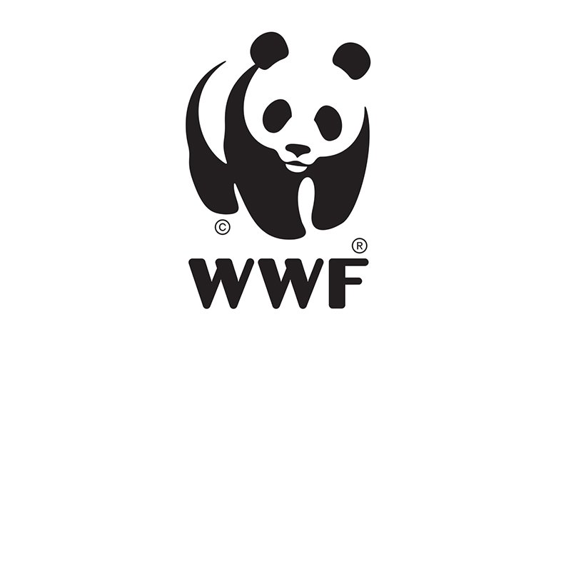 WWF - CCM via Salesforce Cloud